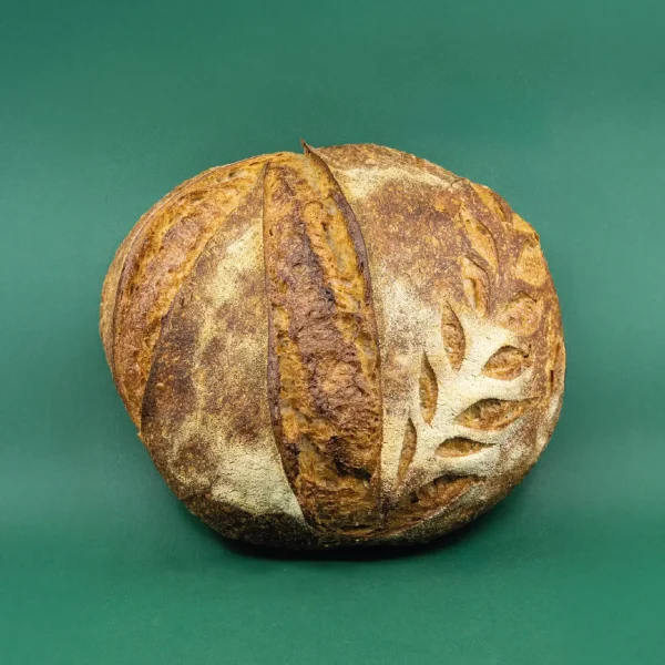 pane-Nocciano-Brisa (1)