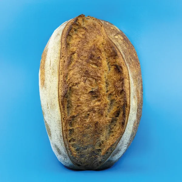 pane-campagna-Brisa (1)