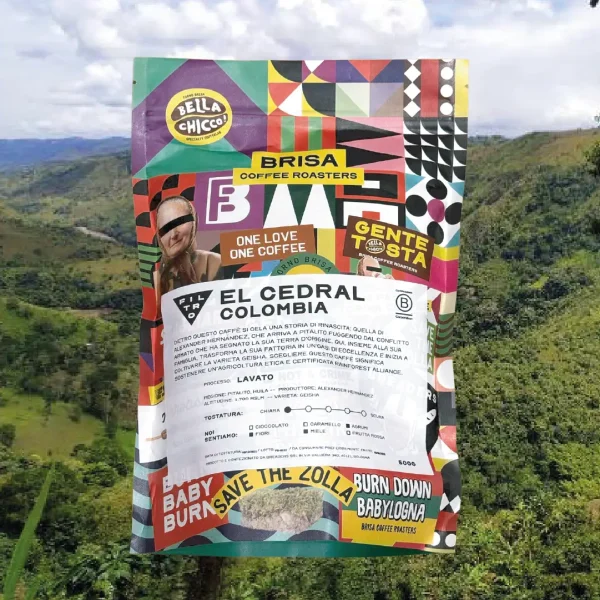 caffè-Brisa-filtro-monorigine-Colombia-El-Cedral (1)