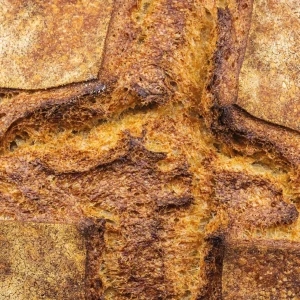 pane-farro-monococco-Brisa (2)