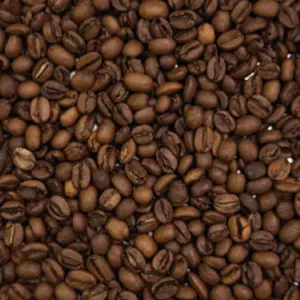 caffè-espresso-monorigine-Messico-Chichiquila-Brisa (2)