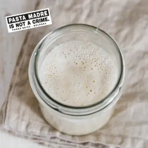 Pasta madre